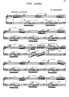 Zwei Stücke, Op.2: Nr.1 Les deux alouettes by Theodor Leschetizky