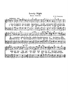 Du heilige Nacht: In As-Dur by Franz Xaver Chwatal