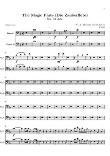Der Hölle Rache kocht in meinem Herzen: Fagottstimme by Wolfgang Amadeus Mozart