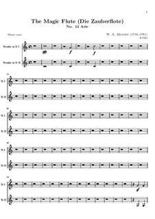 Der Hölle Rache kocht in meinem Herzen: Trompetestimme by Wolfgang Amadeus Mozart