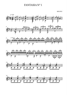 Fantasie in D-Dur für Gitarre, Op.13 No.1: Fantasie in D-Dur für Gitarre by Francesco Molino