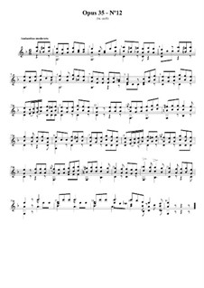 Vierundzwanzig Übungen für Gitarre, Op.35: Etüde Nr.12 by Fernando Sor