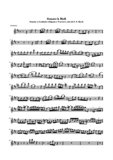 Sonate für Flöte und Cembalo Nr.1 in h-Moll, BWV 1030: Solostimme by Johann Sebastian Bach