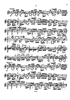 Fünfundzwanzig Etüden, Op.38: Etüde Nr.7 by Napoléon Coste