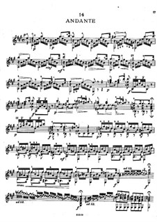 Fünfundzwanzig Etüden, Op.38: Etüden Nr.14-16 by Napoléon Coste