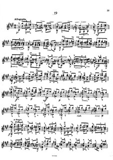 Fünfundzwanzig Etüden, Op.38: Etüde Nr.19 by Napoléon Coste