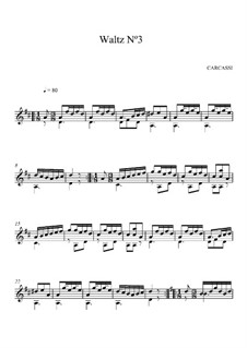 Sechs Walzer, Op.4: Nr.3 in D-Dur by Matteo Carcassi