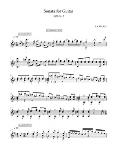 Sonate Sentimentale, Op.2: Für Gitarre (Noten von hohem Qualität) by Ferdinando Carulli
