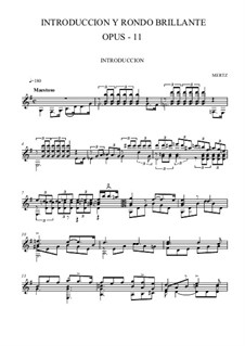 Introduktion und Rondo Brillante, Op.11: Für Gitarre (Noten von hohem Qualität) by Johann Kaspar Mertz