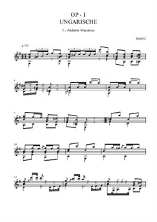 Vaterland-Blüthen, Op.1: Für einen Interpreten by Johann Kaspar Mertz