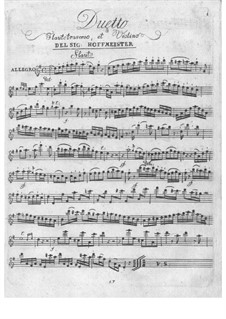 Duo für Violine und Flöte: Duo für Violine und Flöte by Franz Anton Hoffmeister