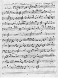 Zwei Quartette für Flöte und Streicher in G-Dur und C-Dur: Zwei Quartette für Flöte und Streicher in G-Dur und C-Dur by Franz Anton Hoffmeister