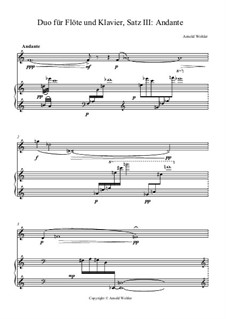 Duo für Flöte und Klavier in 4 Sätzen: III. Andante by Dr. Arnold Wohler