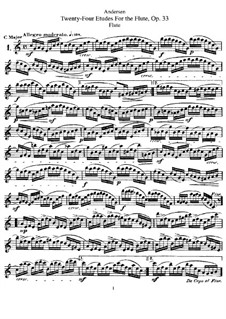 Vierundzwanzig Etüden für Flöte, Op.33: Vierundzwanzig Etüden für Flöte by Joachim Andersen