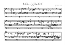 Erstanden ist der heil'ge Christ, BWV 628: Erstanden ist der heil'ge Christ by Johann Sebastian Bach