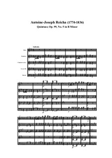 Holzbläserquintett in h-Moll, Op.99 No.5: Teil I by Anton Reicha