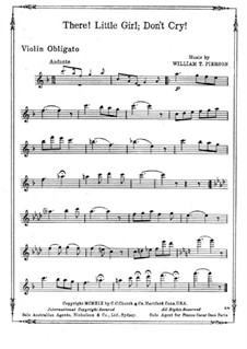 There! Little Girl, Don't Cry: There! Little Girl, Don't Cry by William T. Pierson