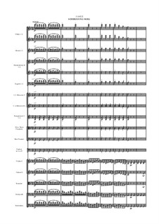 Sinfonie Nr.1 in c-Moll, WAB 101: Teil III by Anton Bruckner