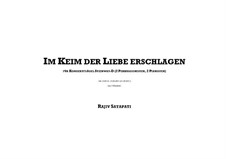 Im Keim der Liebe erschlagen: Im Keim der Liebe erschlagen by Rajiv Satapati