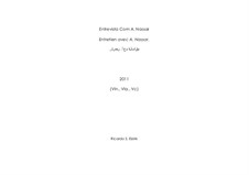 Entretien avec A. Nassar: Entretien avec A. Nassar by Ricardo S. Eizirik