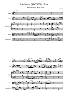 Sonate für zwei Violinen und Basso Continuo in G-Dur, BWV 1039: Teil II. Bearbeitung für Flöte, Cembalo und Streicher by Johann Sebastian Bach