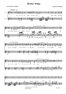 Beetle's Wings: Für Alt und Gitarre by David W Solomons