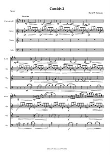 Camisis No.2 for clarinet, cello, violin and guitar: Camisis No.2 for clarinet, cello, violin and guitar by David W Solomons