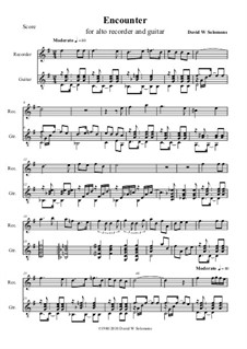 Encounter for recorder and guitar: Encounter for recorder and guitar by David W Solomons