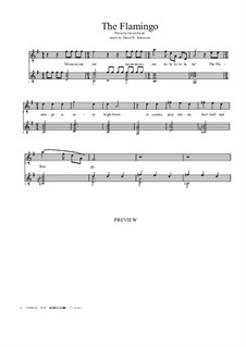 The Flamingo: Für Stimme und Gitarre by David W Solomons