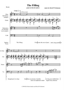 The Filling for spoken voice, cello, glass harmonica, guitar, harmonica: The Filling for spoken voice, cello, glass harmonica, guitar, harmonica by David W Solomons