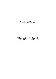 Etude No.3 in E Flat Major: Etude No.3 in E Flat Major by Andrew Wood