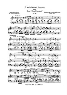 Il mio tesoro: Klavierauszug mit Singstimmen by Wolfgang Amadeus Mozart