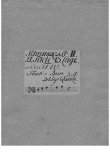 Triosonate für Violine, Flöte und Basso Continuo in B-Dur, QV 2:42: Triosonate für Violine, Flöte und Basso Continuo in B-Dur by Johann Joachim Quantz