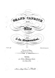 Grosse Caprice für Bratsche, Op.79: Grosse Caprice für Bratsche by Joseph von Blumenthal