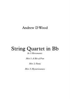 String Quartet in B flat, Op.8: String Quartet in B flat by Andrew Wood