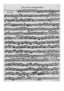 Konzert für Flöte und Orchester Nr.1 in D-Dur: Konzert für Flöte und Orchester Nr.1 in D-Dur by François Devienne