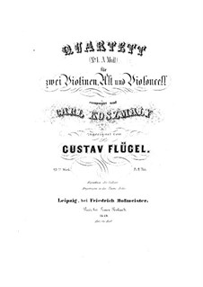 Streichquartett Nr.1 in a-Moll, Op.23: Streichquartett Nr.1 in a-Moll by Gustav Flügel