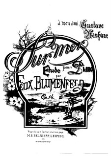 Auf dem Meer. Etüde, Op.14: Auf dem Meer. Etüde by Felix Blumenfeld