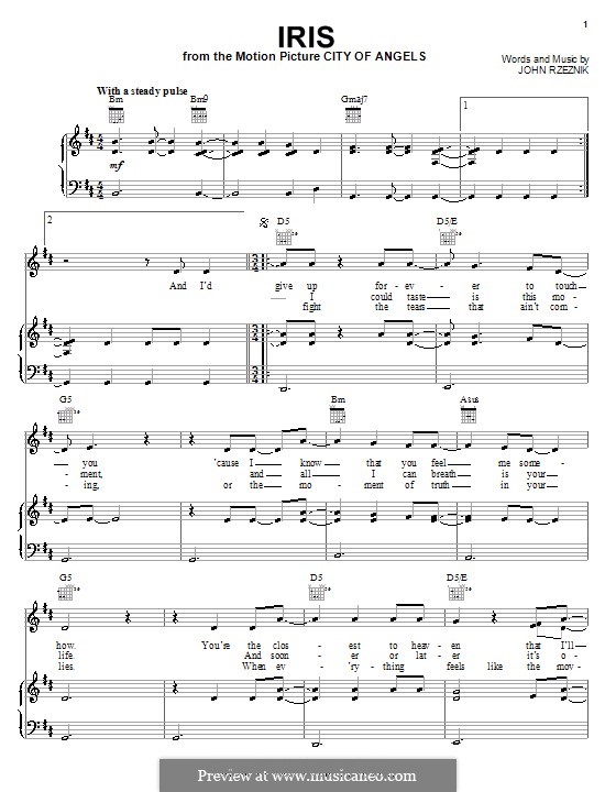 Iris (Goo Goo Dolls): Für Stimme und Klavier (oder Gitarre) by John Rzeznik