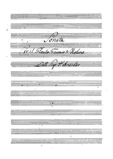 Sonate für Flöte und Violine: Sonate für Flöte und Violine by Franz Anton Hoffmeister