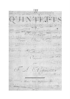 Sechs Quintett für Flöte und Streicher: Sechs Quintett für Flöte und Streicher by Franz Anton Hoffmeister