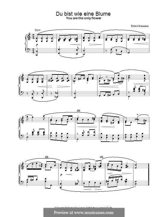 Nr.24 Du bist wie eine Blume: Für Klavier by Robert Schumann