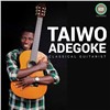 Taiwo Adegoke