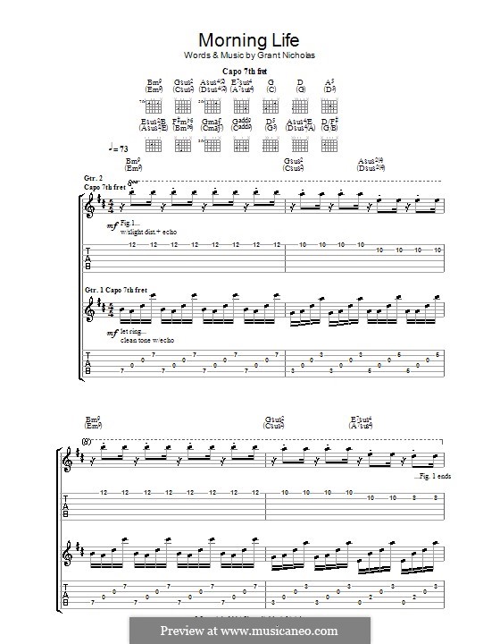 Morning Life (Feeder): Para guitarra com guia by Grant Nicholas