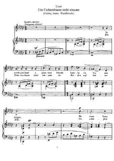 Ein Fichtenbaum steht einsam, S.309: Deutscher und englisher Texte by Franz Liszt