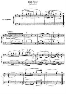 The Rose, D.745 Op.73: Para Piano, S.556 by Franz Schubert