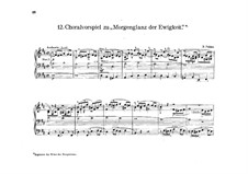 Choral Prelude 'Morgenglanz der Ewigkeit': Choral Prelude 'Morgenglanz der Ewigkeit' by Rudolf Palme
