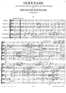 Serenade for String Orchestra and Flute (or Solo-Sextet), Op.65: Serenade for String Orchestra and Flute (or Solo-Sextet) by Heinrich Hofmann