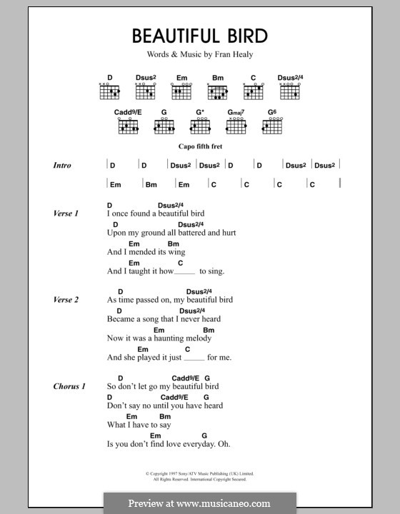Beautiful Bird (Travis): Letras e Acordes by Fran Healy