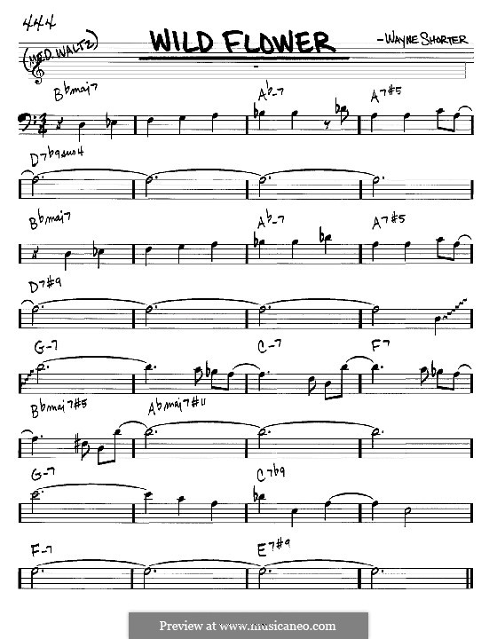 Wild Flower: Melodia e acordes - clave de fá instrumentos by Wayne Shorter